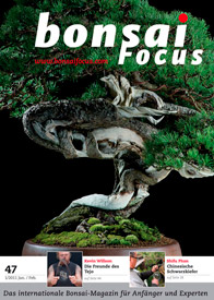 Bonsai-Focus 2011 (47), Jan/Feb. Bonsai-Focus 2011 (47), Jan/Feb.