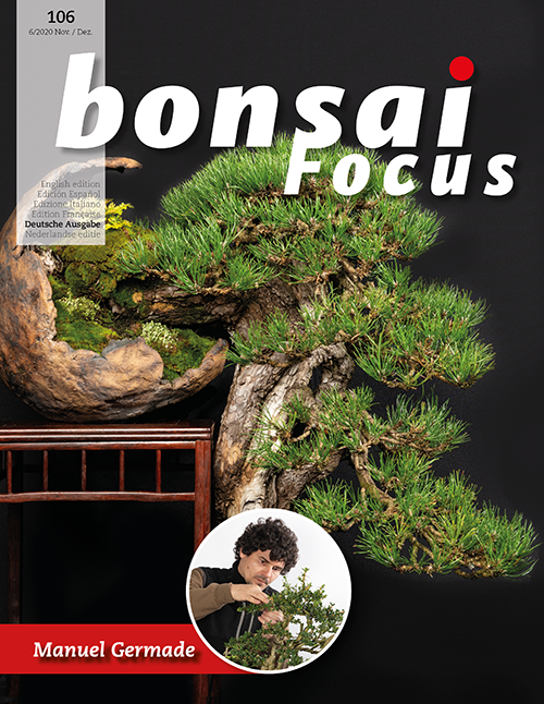 Bonsai-Focus 106 Nov/Dez 2020 Bonsai-Focus 2020 (106), Nov/Dez