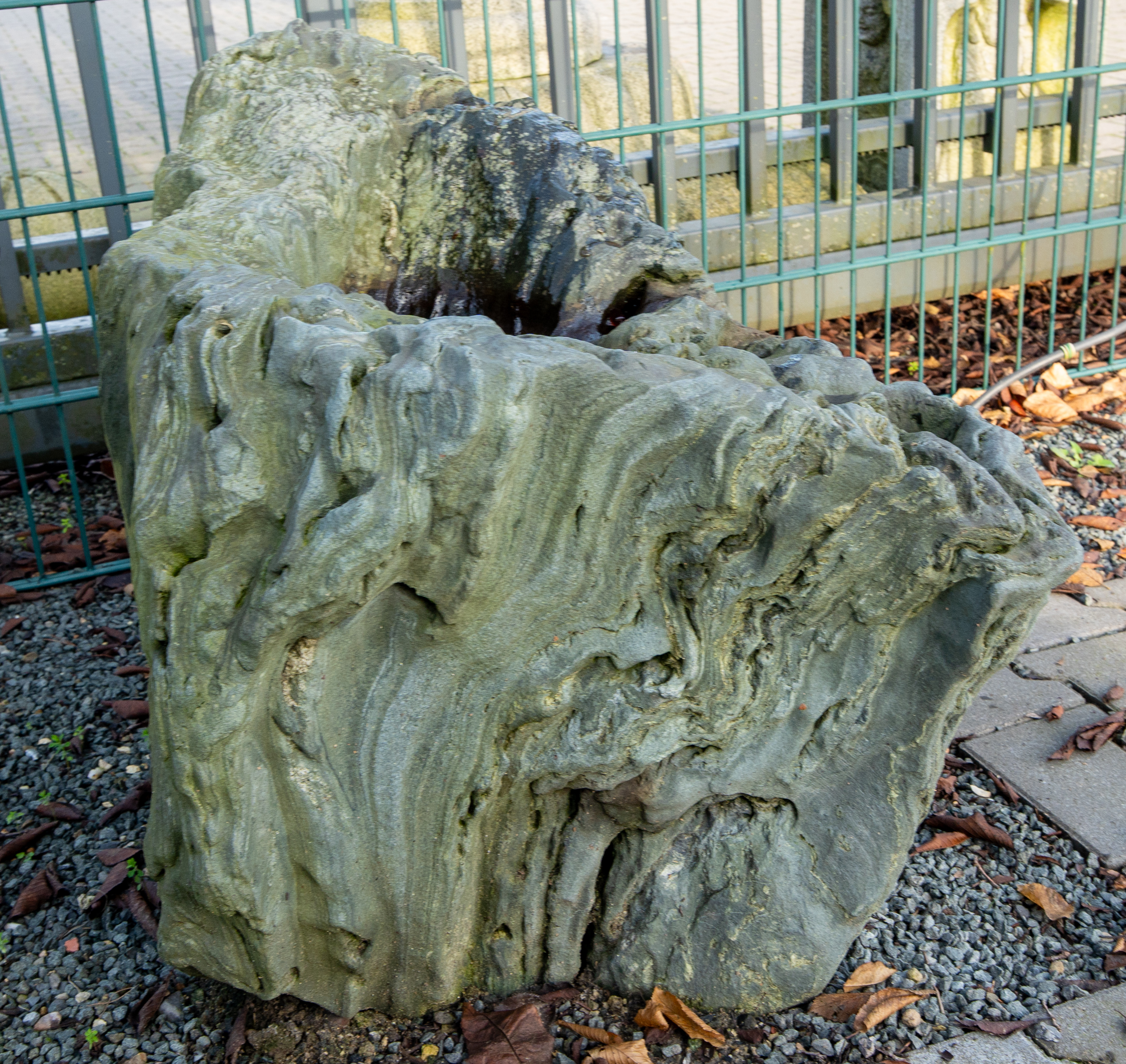 bonsai.fallbackImageTitle