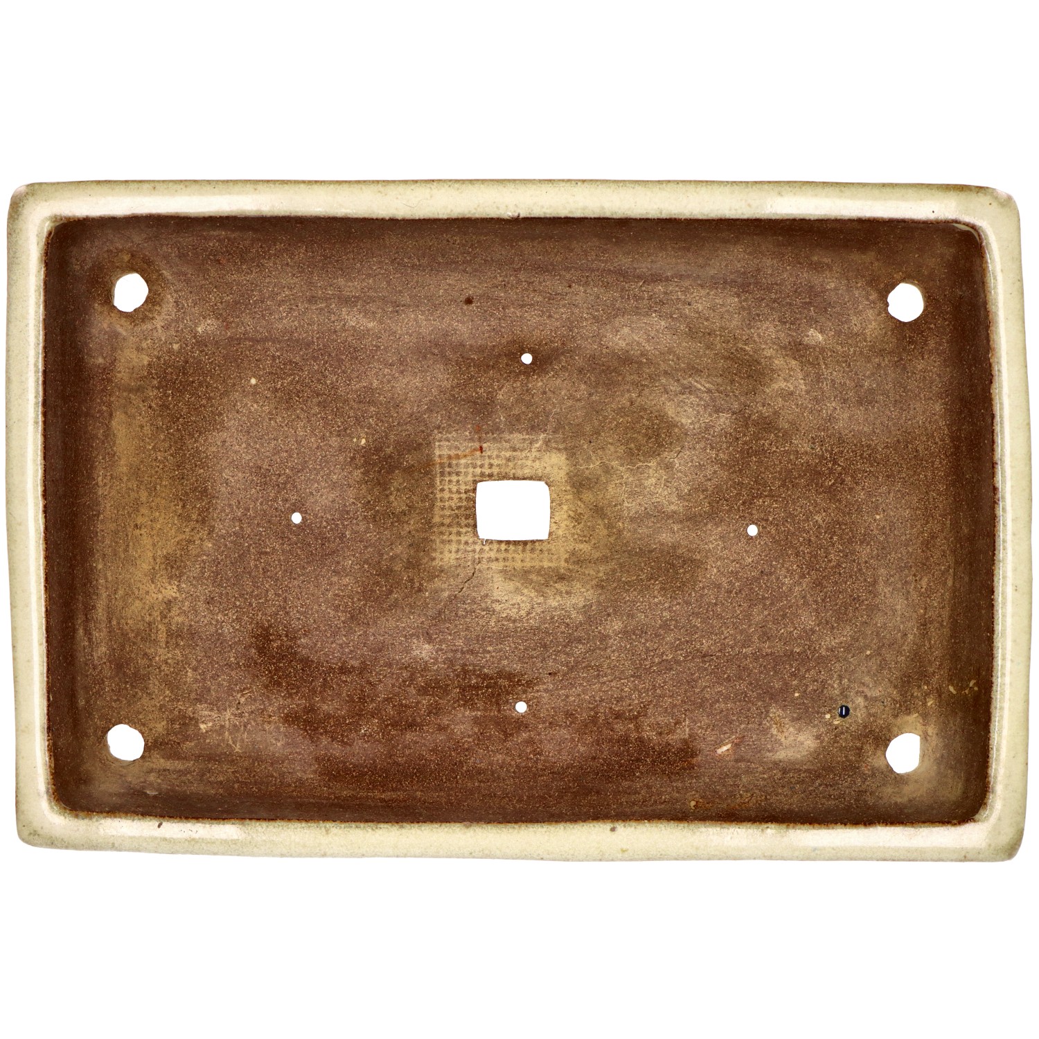 bonsai.fallbackImageTitle