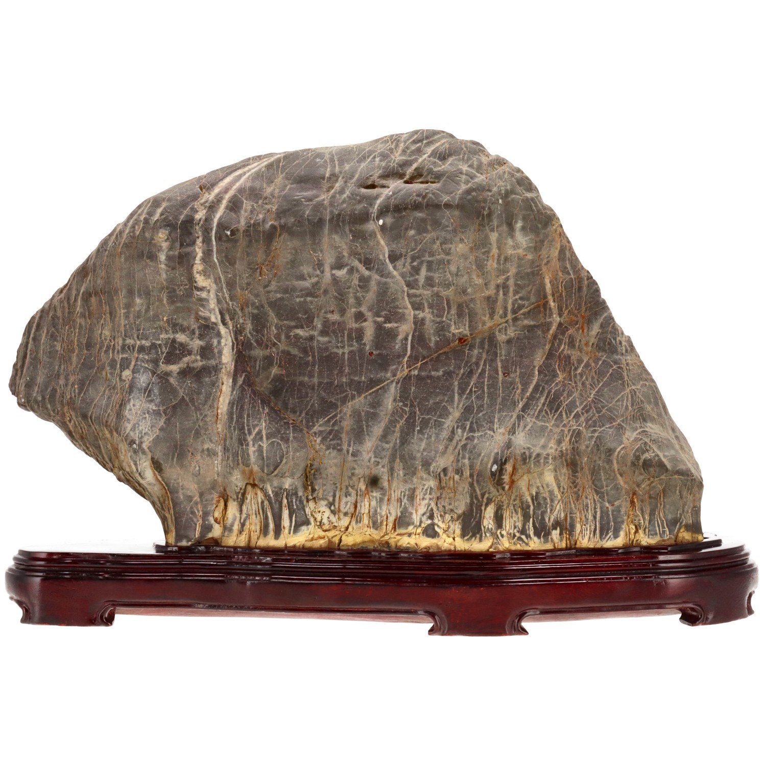 bonsai.fallbackImageTitle