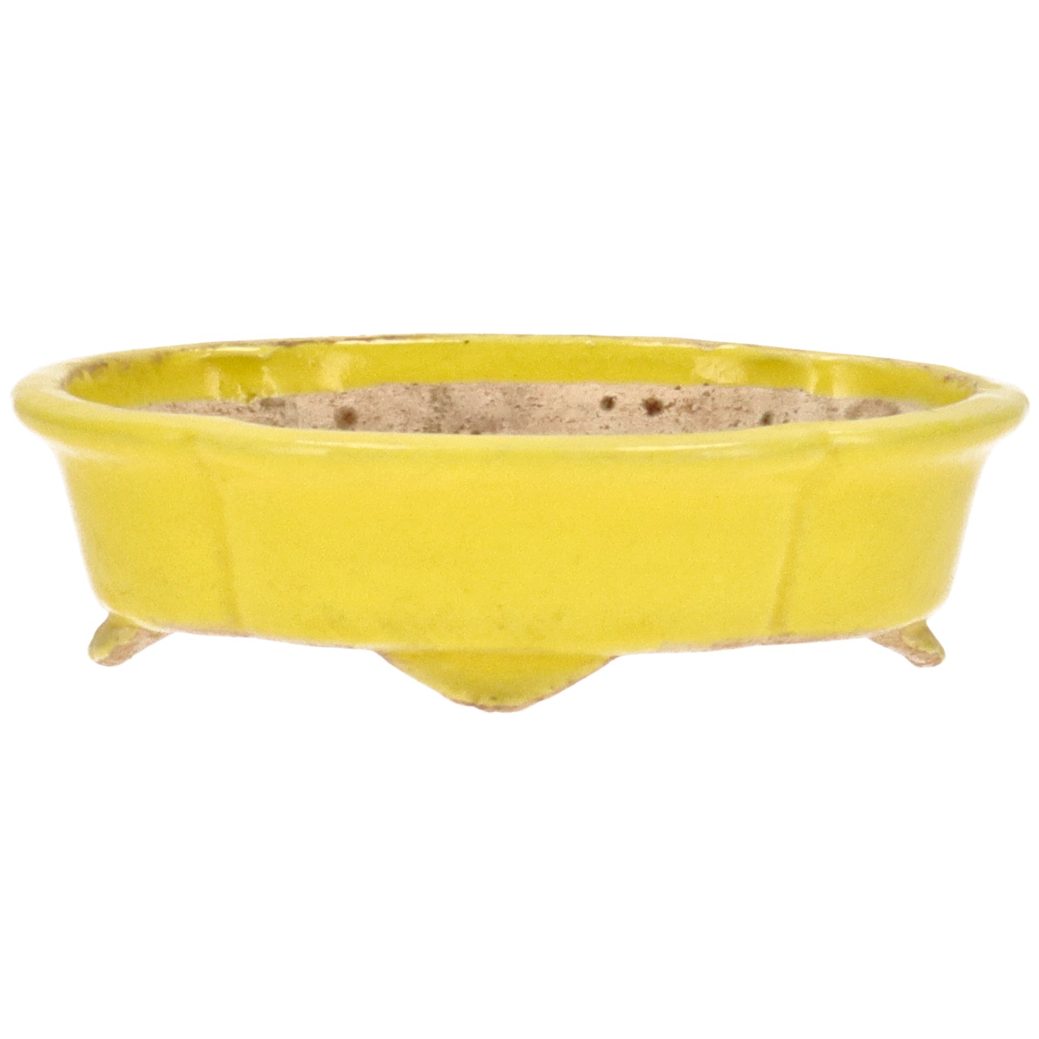 Vaso Tokoname HATTORI