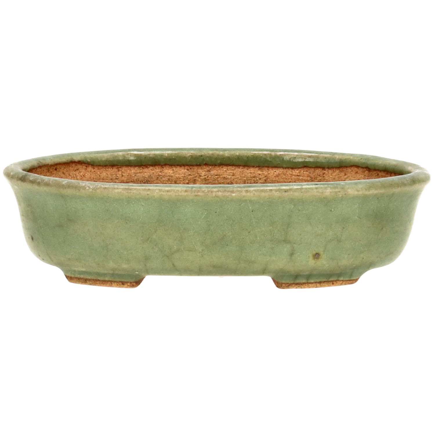 Vaso Tokoname HATTORI