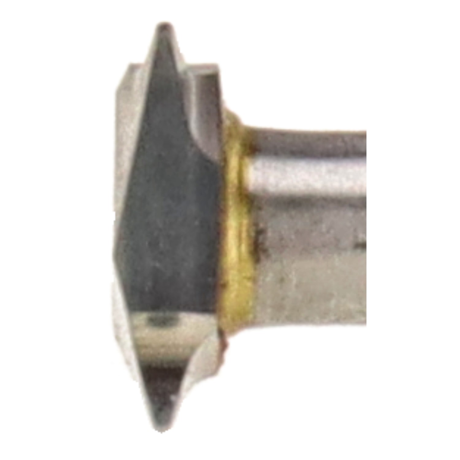 bonsai.fallbackImageTitle bonsai.fallbackImageTitle