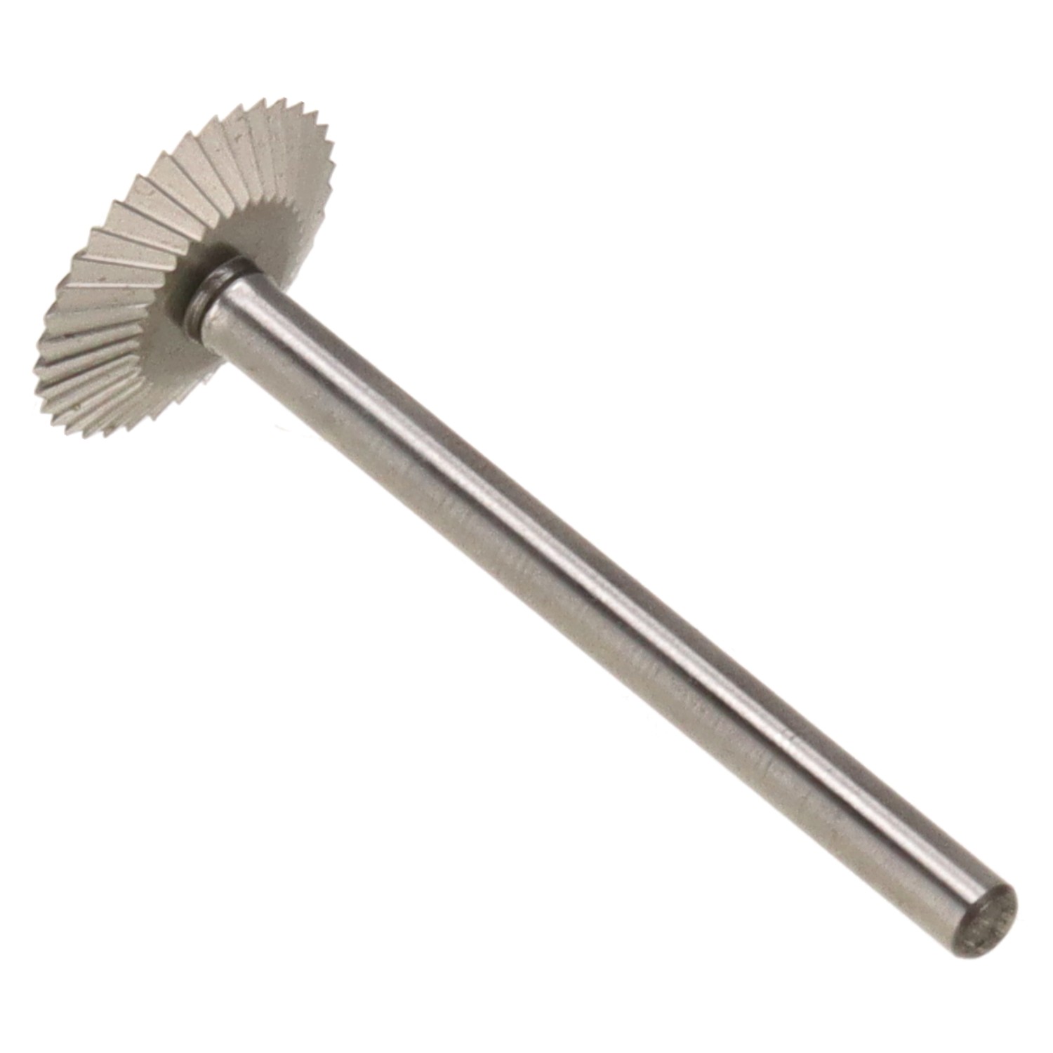 bonsai.fallbackImageTitle bonsai.fallbackImageTitle