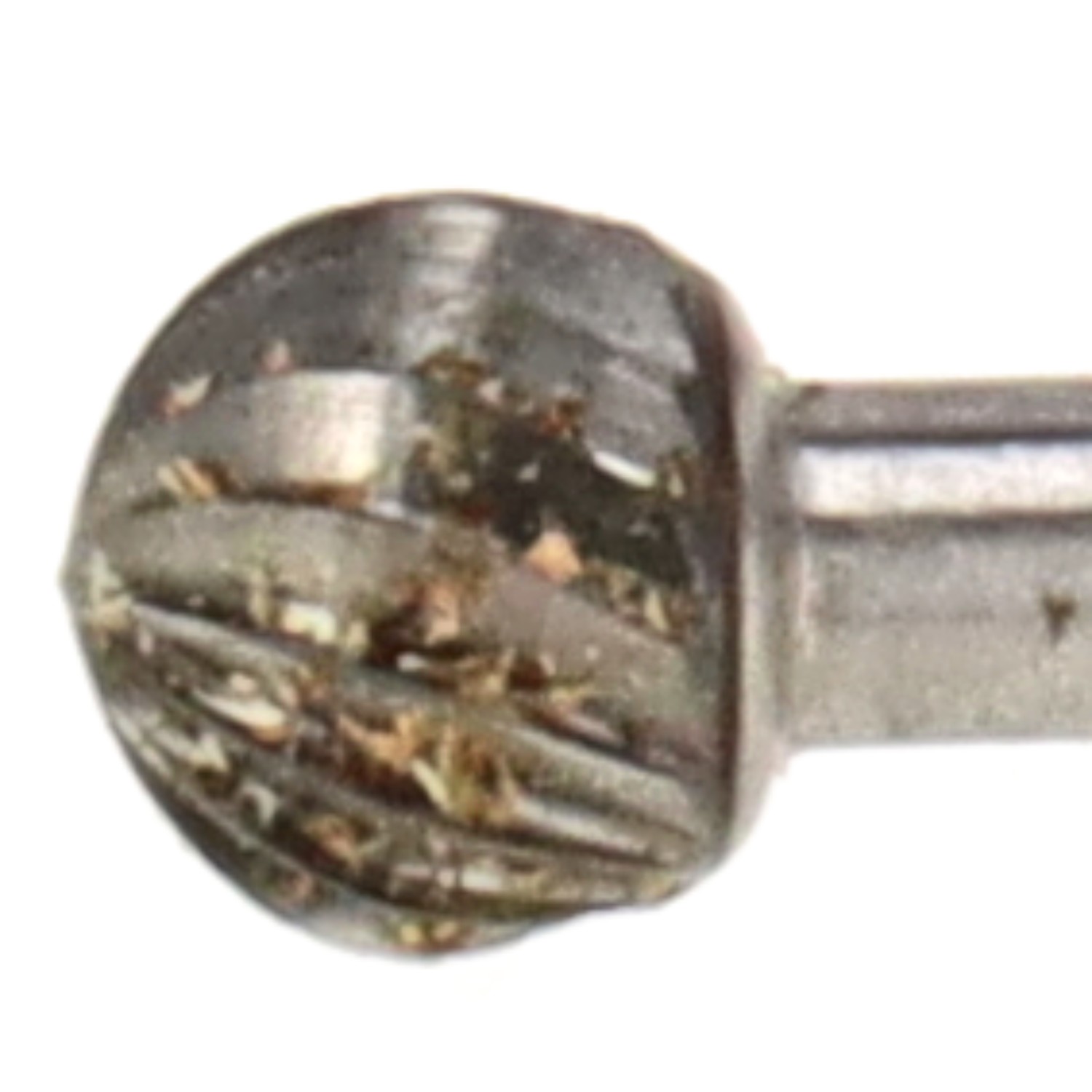 bonsai.fallbackImageTitle bonsai.fallbackImageTitle