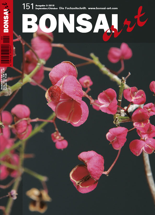 GALERIE
Meisterwerke auf der Kokufu-ten

SCHEINZYPRESSE
Masahiko Kimura – Lernen vom Profi: Der stille Wald – Eine Hinoki-Waldpflanzung auf Fels

FRUCHT-BONSAI
- Bunte Schätze des Herbstes: Die faszinierende Beschäftigung mit Frucht-Bonsai
- Was man über 