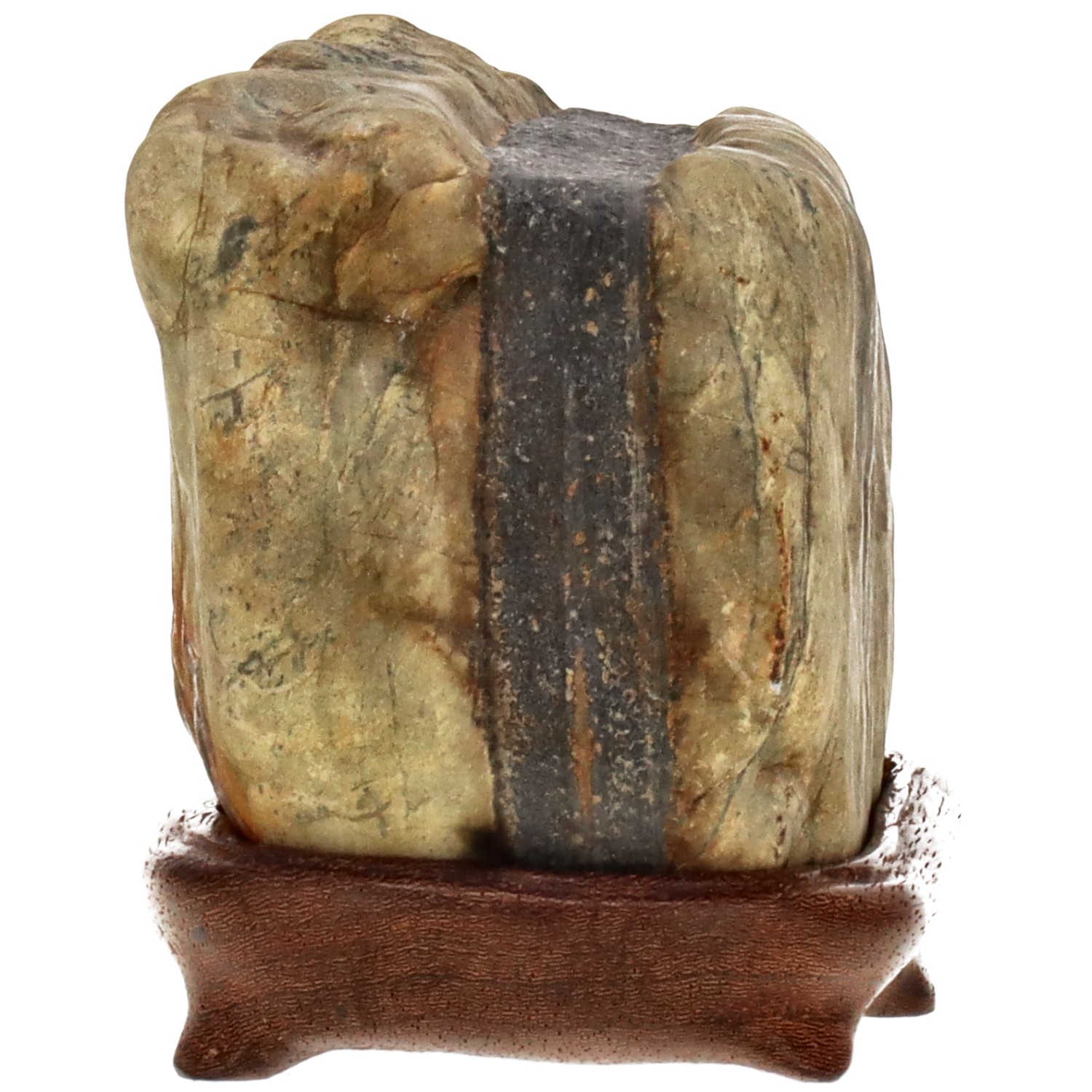 bonsai.fallbackImageTitle