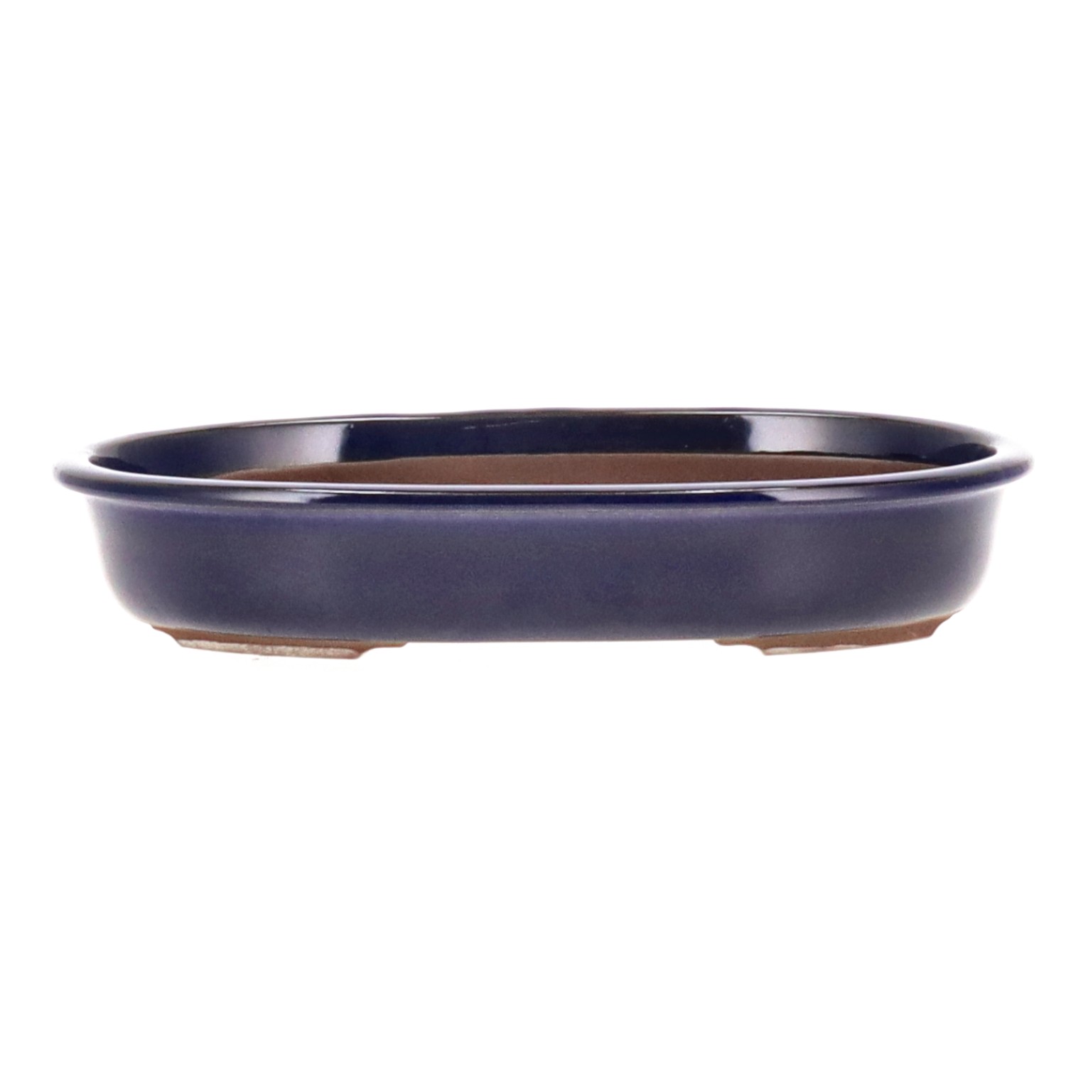 Pot  