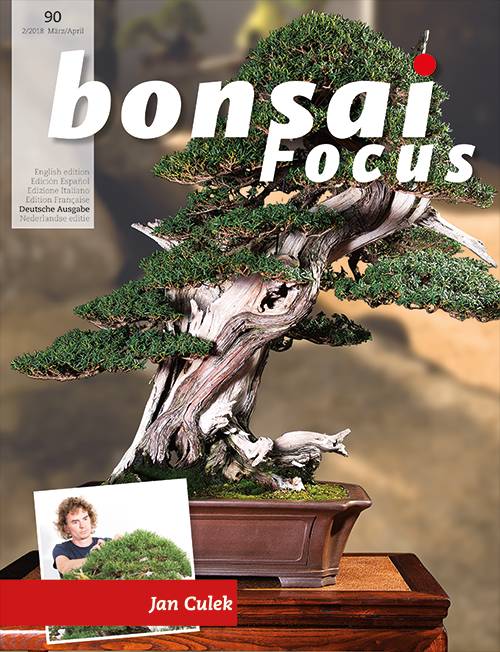 Bonsai-Focus 2018 (90), Mär/Apr. Bonsai-Focus 2018 (90), Mär/Apr.