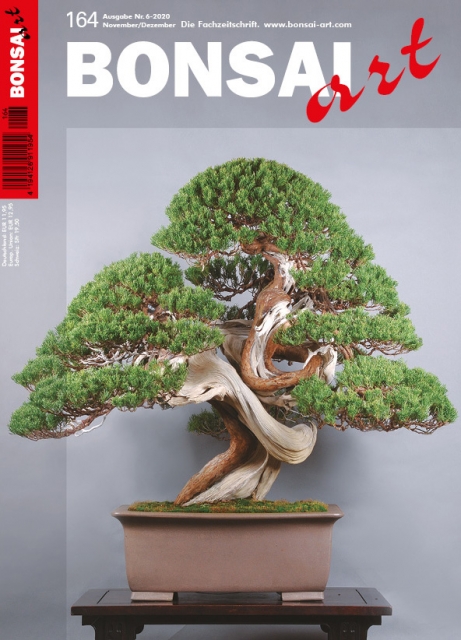 BONSAI ART 2020 (164), Nov/Dez. BONSAI ART 2020 (164), Nov/Dez.