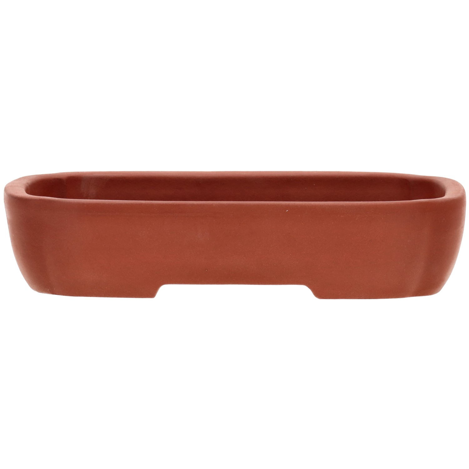Pot