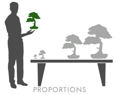 bonsai.fallbackImageTitle bonsai.fallbackImageTitle