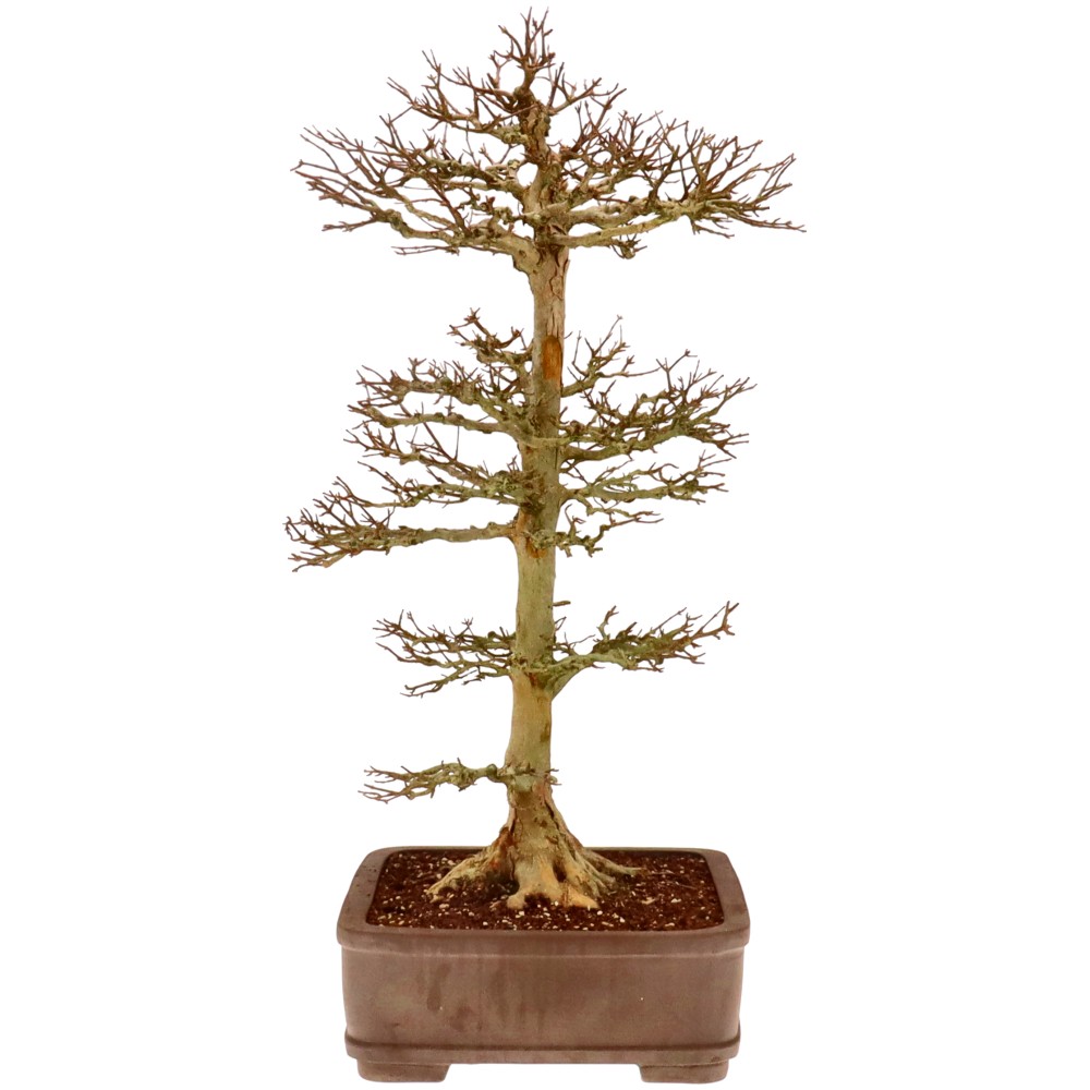 Slider Bild Slider Bild