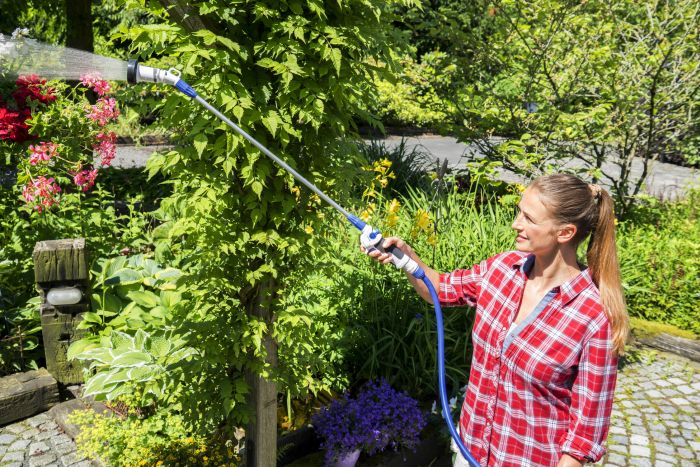 Slider Bild Slider Bild