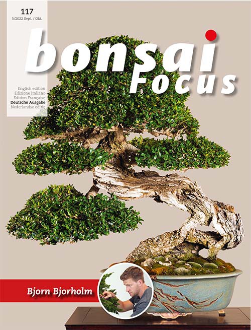 Bonsai-Focus 117 September / Oktober 2022 Bonsai-Focus 2022 (117), Sep/Okt.