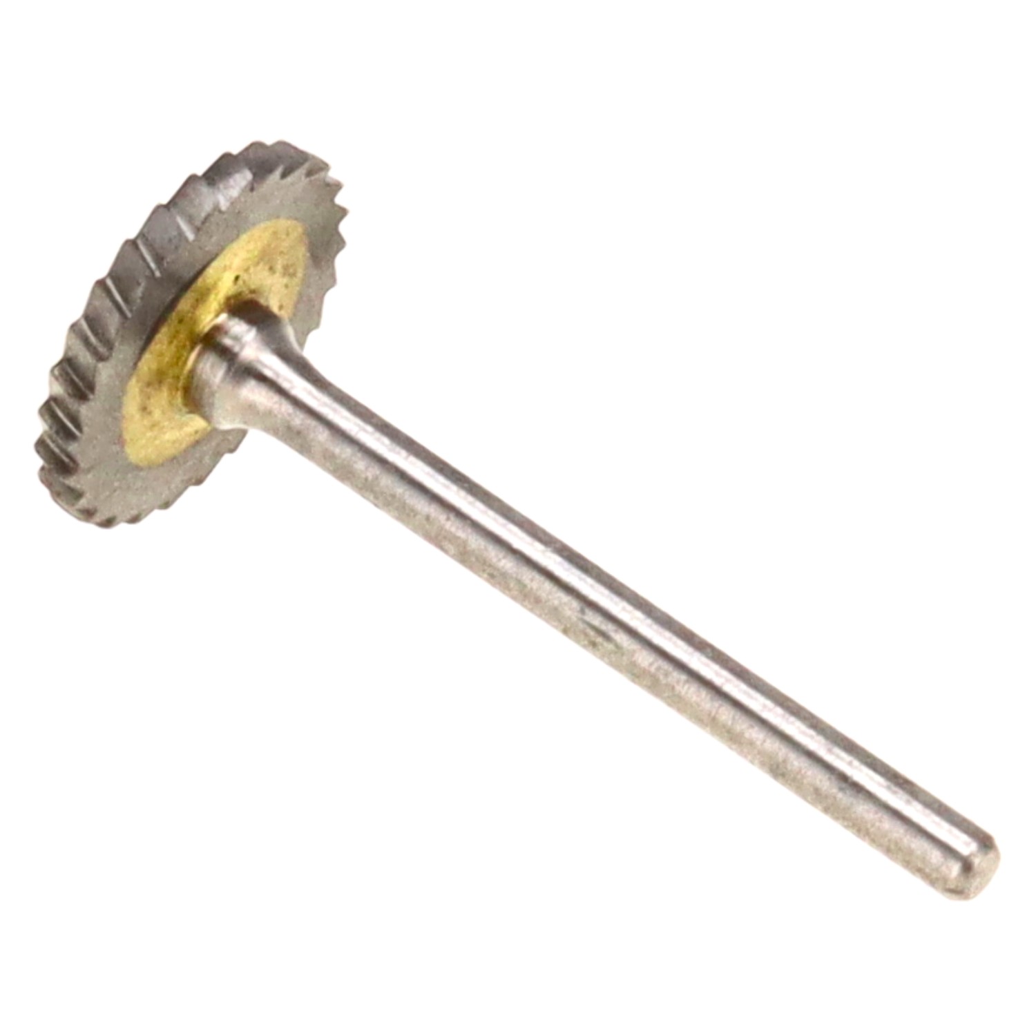 bonsai.fallbackImageTitle bonsai.fallbackImageTitle