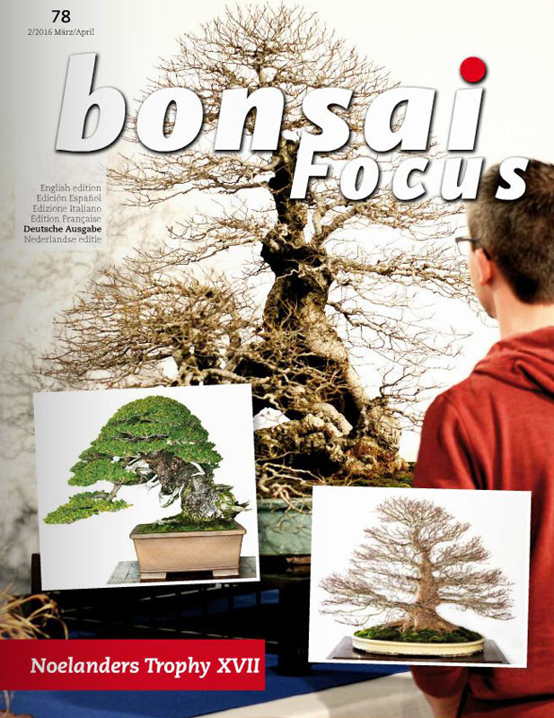 Bonsai-Focus 2016 (78), Mär/Apr Bonsai-Focus 2016 (78), Mär/Apr