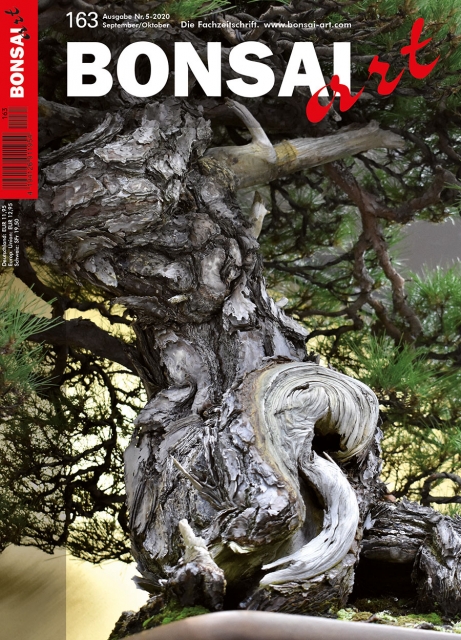 TITELTHEMA Gepflegt in den Herbst mit tollen Präsentationen
Die alte Rot-Kiefer, deren faszinierender Stamm unser Titelbild ziert, ist das Meisterwerk, mit dem Taiga Urushibata den Hauptpreis auf der letzten Sakufuten, der japanischen Profiausstellung, ge