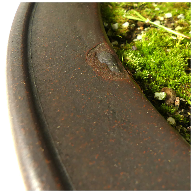 bonsai.fallbackImageTitle