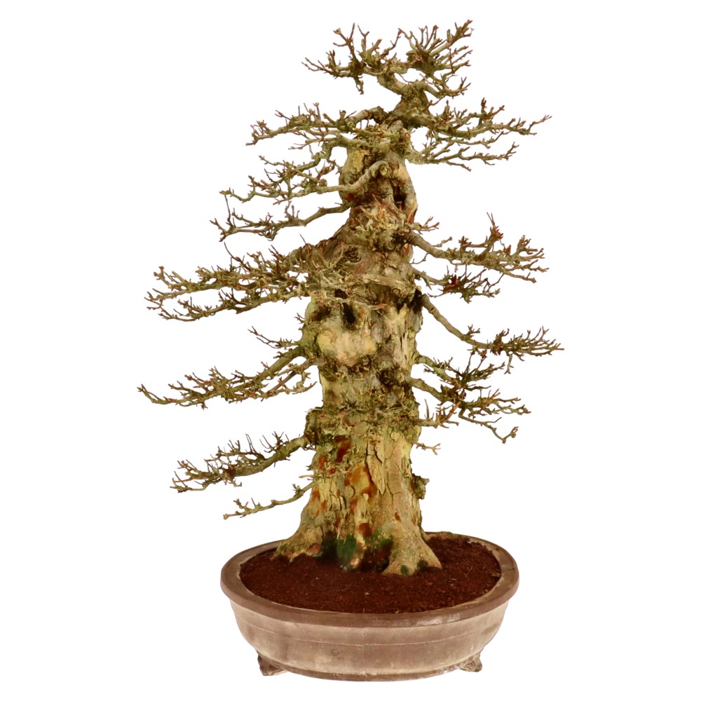 Slider Bild Slider Bild