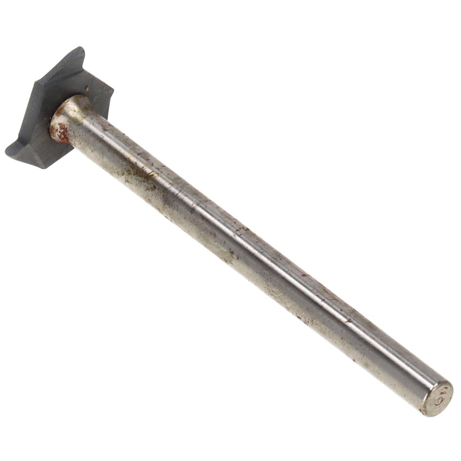 bonsai.fallbackImageTitle bonsai.fallbackImageTitle