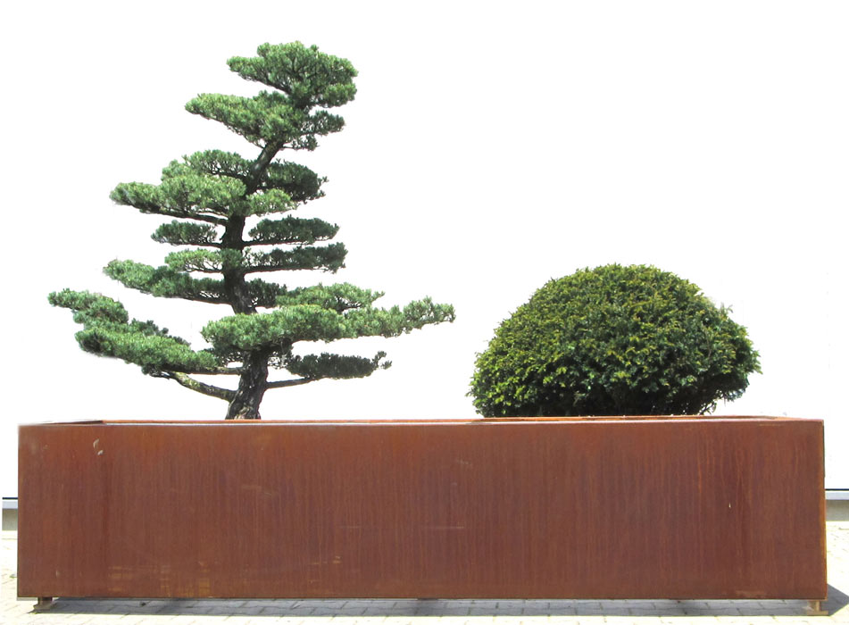 Pflanzgefäß aus COR-TEN-Stahl - ca. 100 x 300 x 65 cm Dieses Pflanzgefäß verleiht jedem Garten etwas Besonderes und fügt sich durch seine natürliche Farbgebung harmonisch in sein Umfeld ein. Es ist unten offen und ermöglicht dadurch eine Verwurzelung der Pflanzen in den vorhandenen Boden, was geringeren Gieß