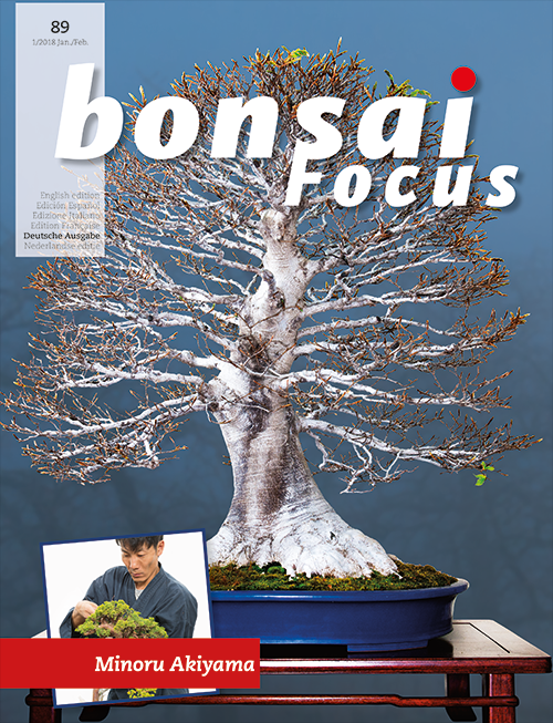 Bonsai-Focus 2018 (89), Jan/Feb. Bonsai-Focus 2018 (89), Jan/Feb.