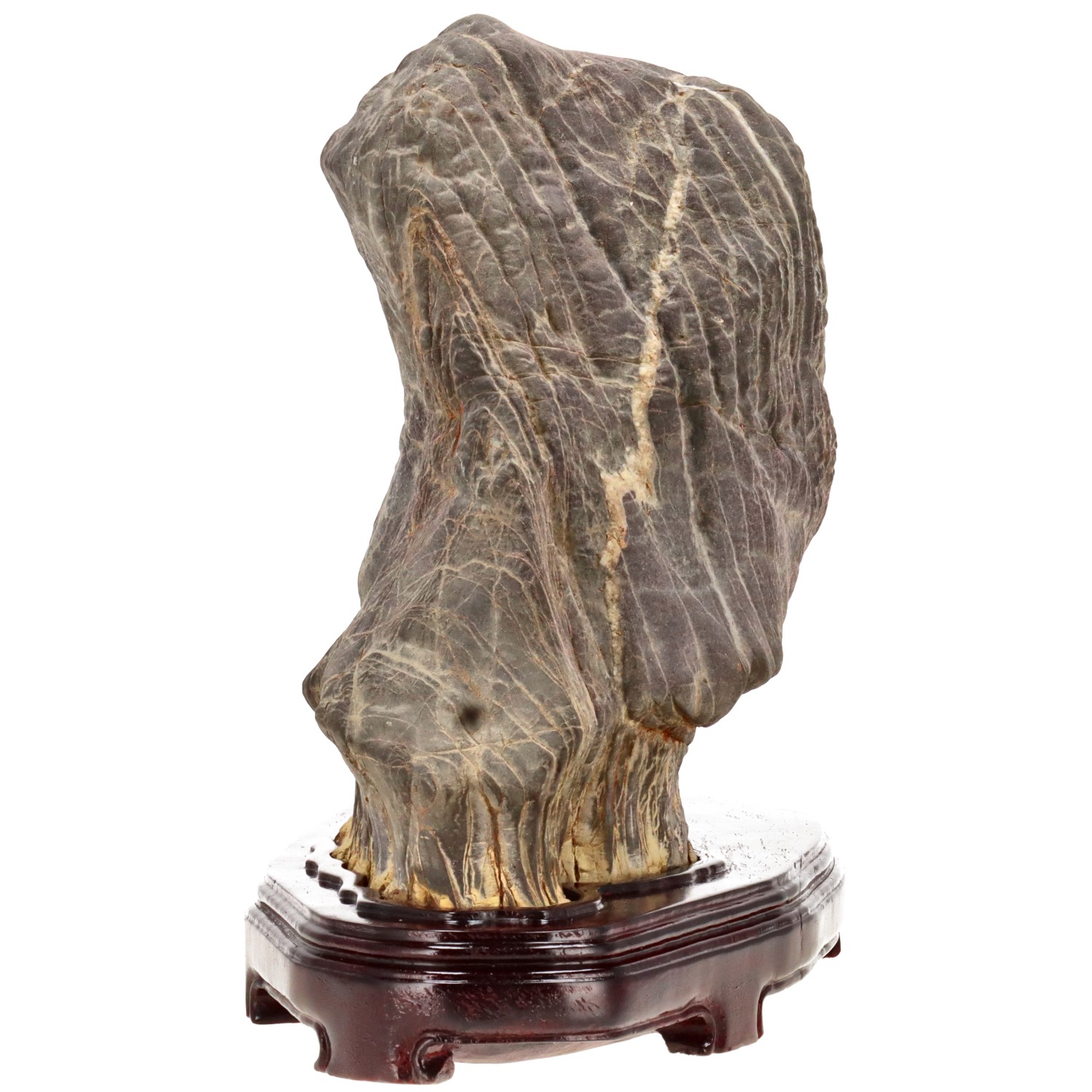 bonsai.fallbackImageTitle