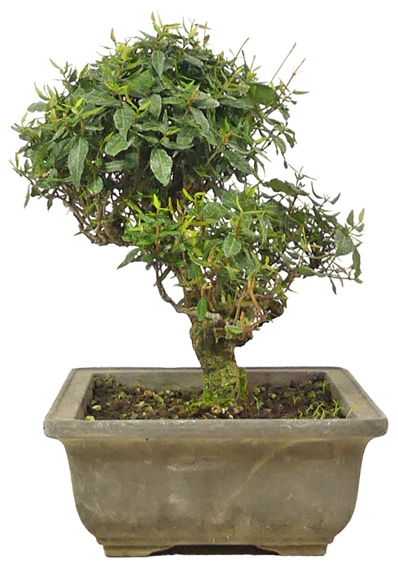 Slider Bild Slider Bild