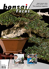 Bonsai-Focus 2008 (33), Sep/Okt. Bonsai-Focus 2008 (33), Sep/Okt.