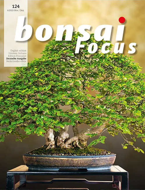 Bonsai-Focus 2023 (124), Nov/Dez Bonsai-Focus 2023 (124), Nov/Dez