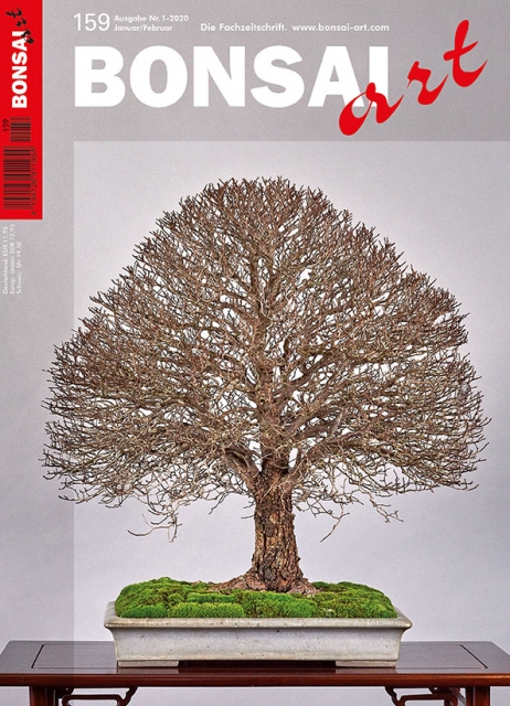 TITELTHEMA: Bonsai im Winter
Die laublose Krone der wunderbar verzweigten Ulme auf unserem Titelbild repräsentiert den Winter auf die schönste Weise. Dieser prächtige Bonsai, der eines der Prachtstücke der Aki Ten Ausstellung in Brixen war, wurde von Othm