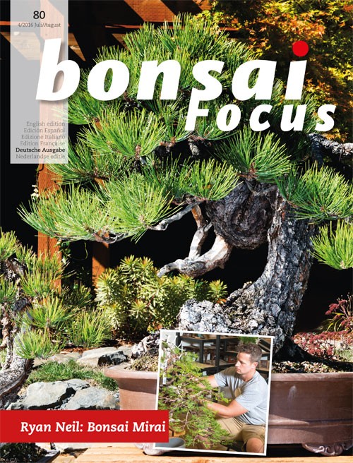 Bonsai-Focus 100 Nov/Dez 2019