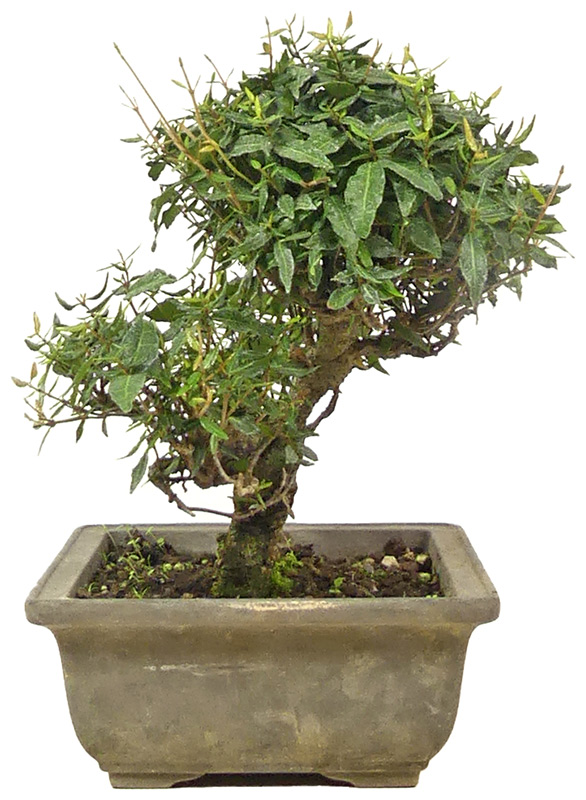 Slider Bild Slider Bild