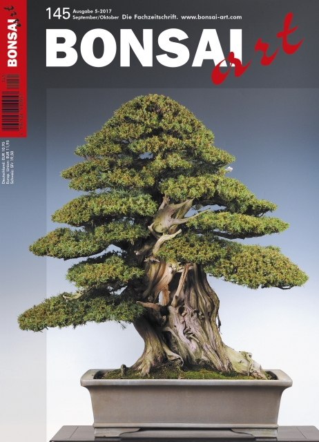 TITELTHEMA IGEL-WACHOLDER 
Der Igel-Wacholder stößt in den letzten Jahren wieder auf vermehrtes Interesse seitens der Bonsai-Freunde. Diese faszinierende Wacholderart eignet sich für große, imposante wie auch für winzig kleine Bonsai in allen Gestaltungsf