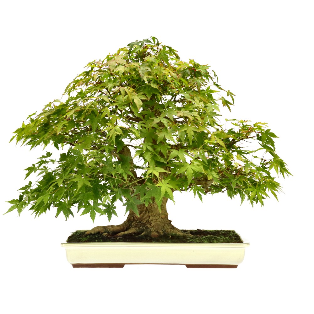 Slider Bild Slider Bild