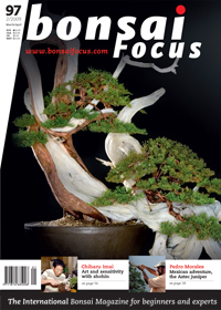 Bonsai-Focus 2009 (36), Mär/Apr. Bonsai-Focus 2009 (36), Mär/Apr.