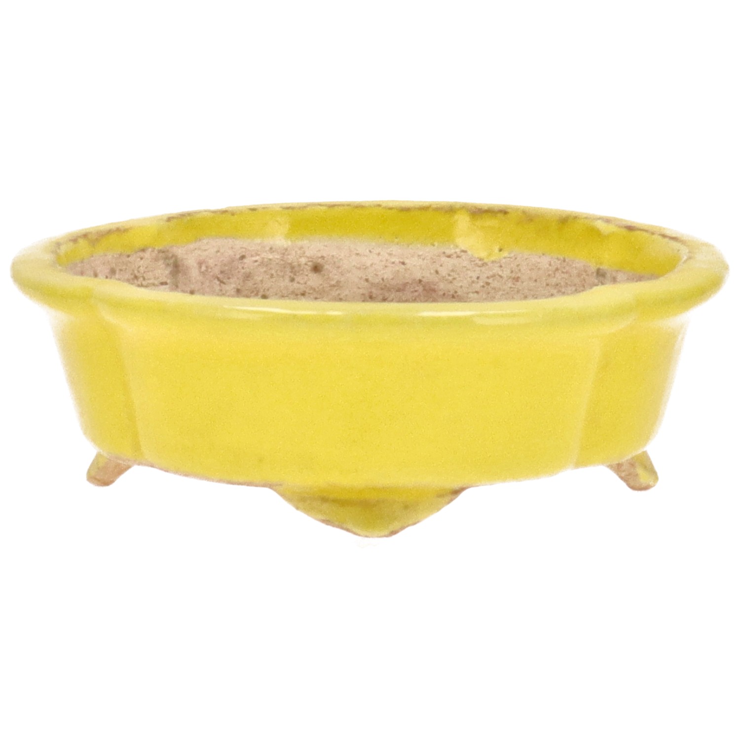 Vaso Tokoname HATTORI