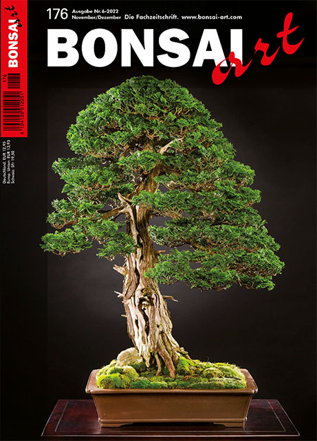 BONSAI ART 176 –  November / Dezember 2022