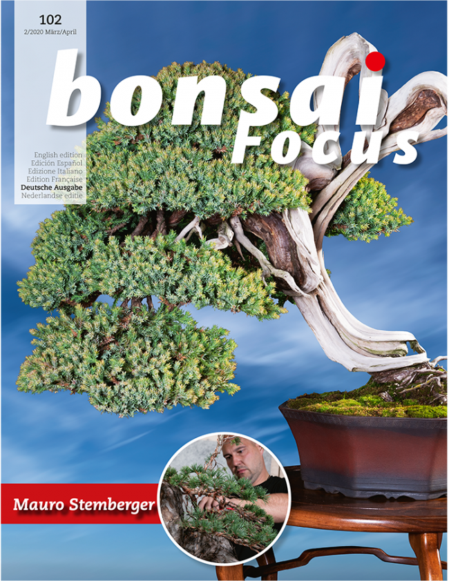 Bonsai-Focus 102 März/April 2020 Bonsai-Focus 2020 (102), Mär/Apr.