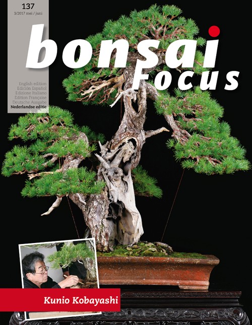 Bonsai-Focus 137 Mei/Juni 2017