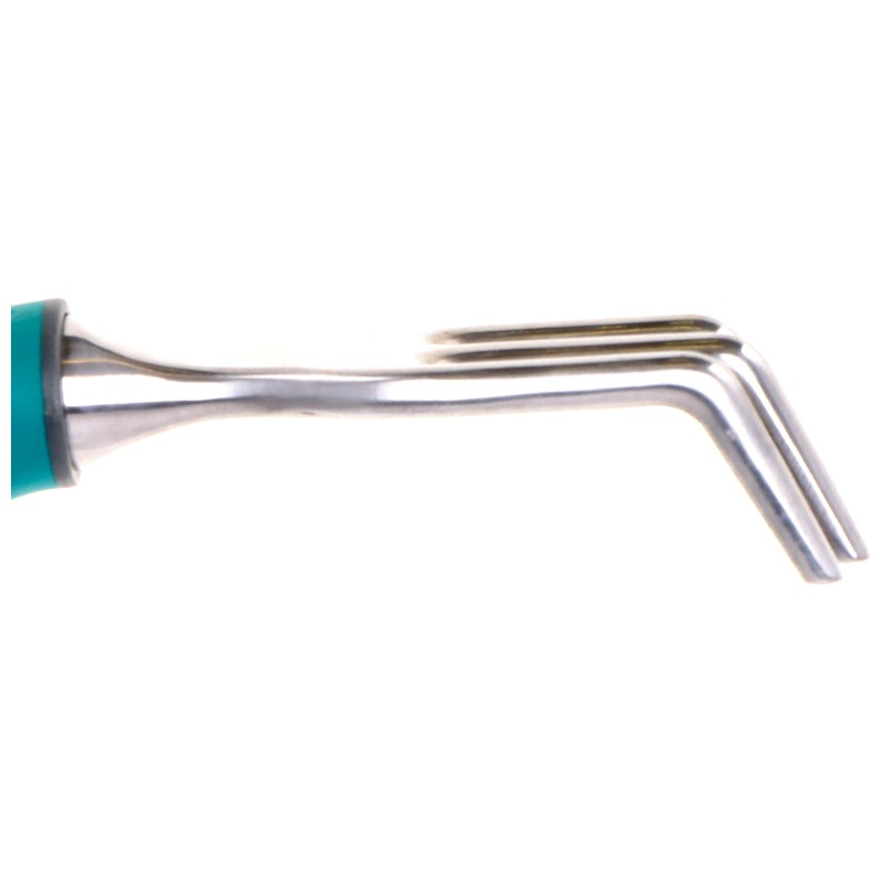 bonsai.fallbackImageTitle bonsai.fallbackImageTitle