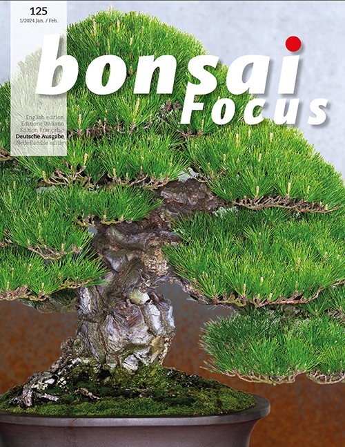 Bonsai-Focus 125 Jan/Feb 2024 Bonsai-Focus 2024 (125), Jan/Feb.