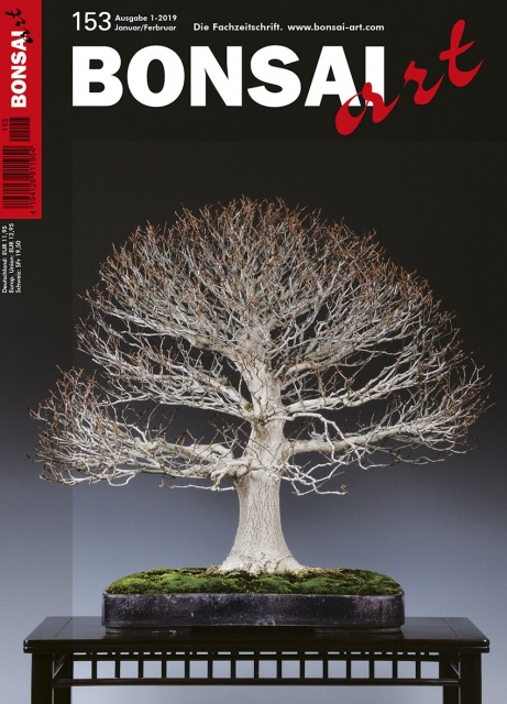 BONSAI ART 153 Januar/Februar 2019 ITELTHEMA:  Das neue Bonsai-Jahr beginnt
Die herrliche Kerbbuche auf unserem Titelbild ist im laublosen Zustand ein Sinnbild des Winters. Die Blüten der Japanischen Aprikosen, Kamelien und anderer Frühblüher wecken in der kalten Jahreszeit schon die Vorfr