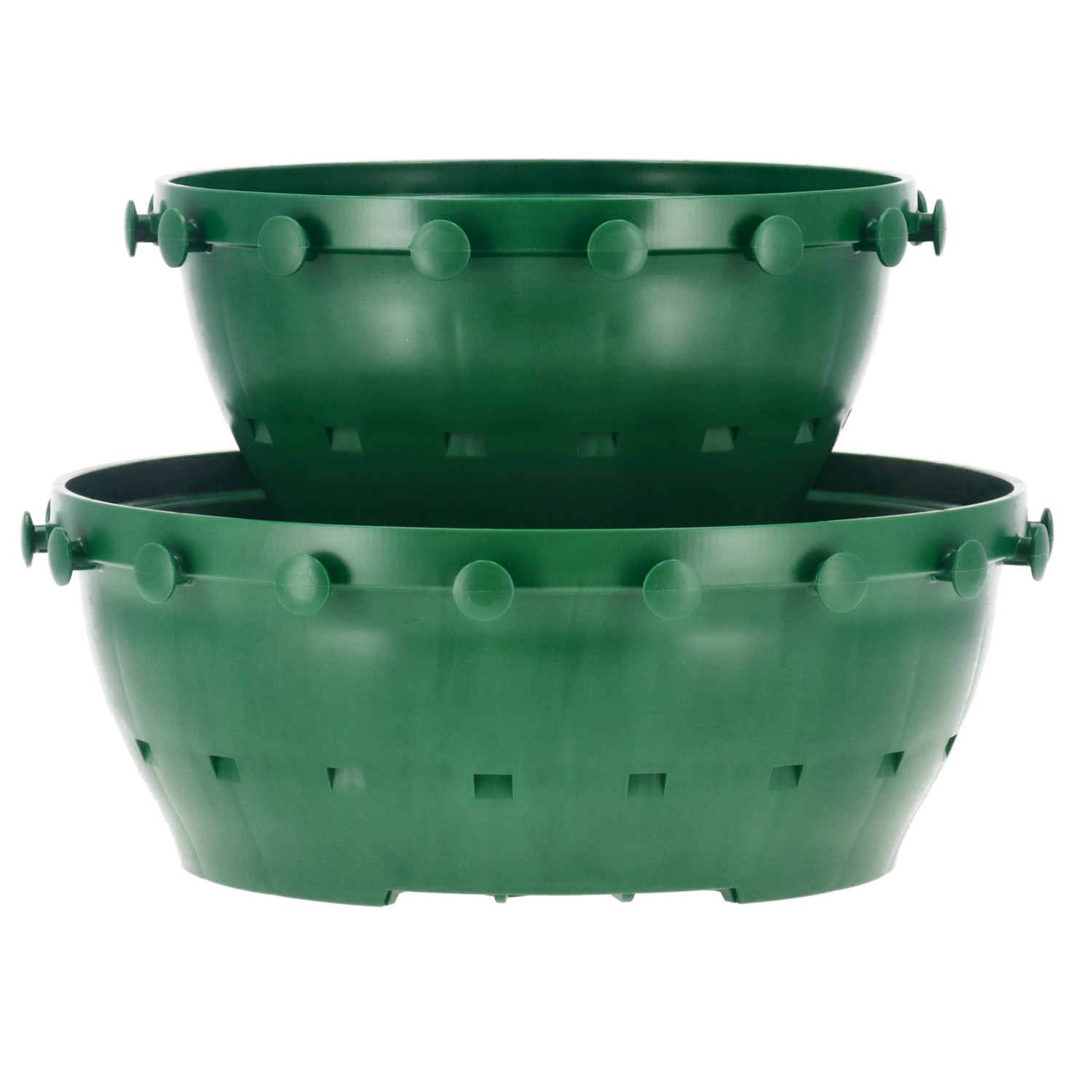 Vaso per la propagazione verde con pomelli Vaso per la propagazione verde con pomelli