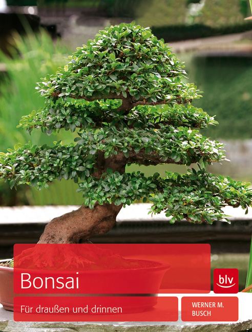 Bonsai - Für draußen und drinnen Lebende Kunstwerke gestalten für draußen und drinnen. Stilarten, Anzucht und Pflegepraxis, Schneiden und Drahten. Im Porträt: die 40 schönsten Laub- und Nadelgehölze mit Pflege-Hinweisen.
Überarbeitete Neuausgabe des gleichnamigen Titels aus der Reihe "M