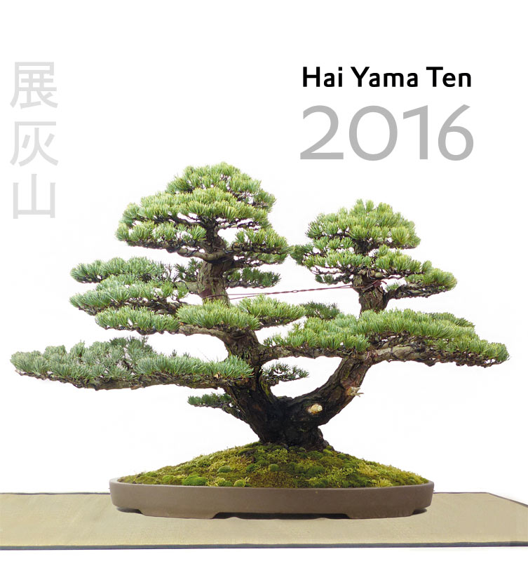 Das offizielle Buch zur Hai Yama Ten 2016: Alle Bäume der Ausstellung werden hier ebenso dokumentiert wie die Sonderausstellung "Suiseki".


108 S., farbig, 21 x 21 cm, Hardcover. 
