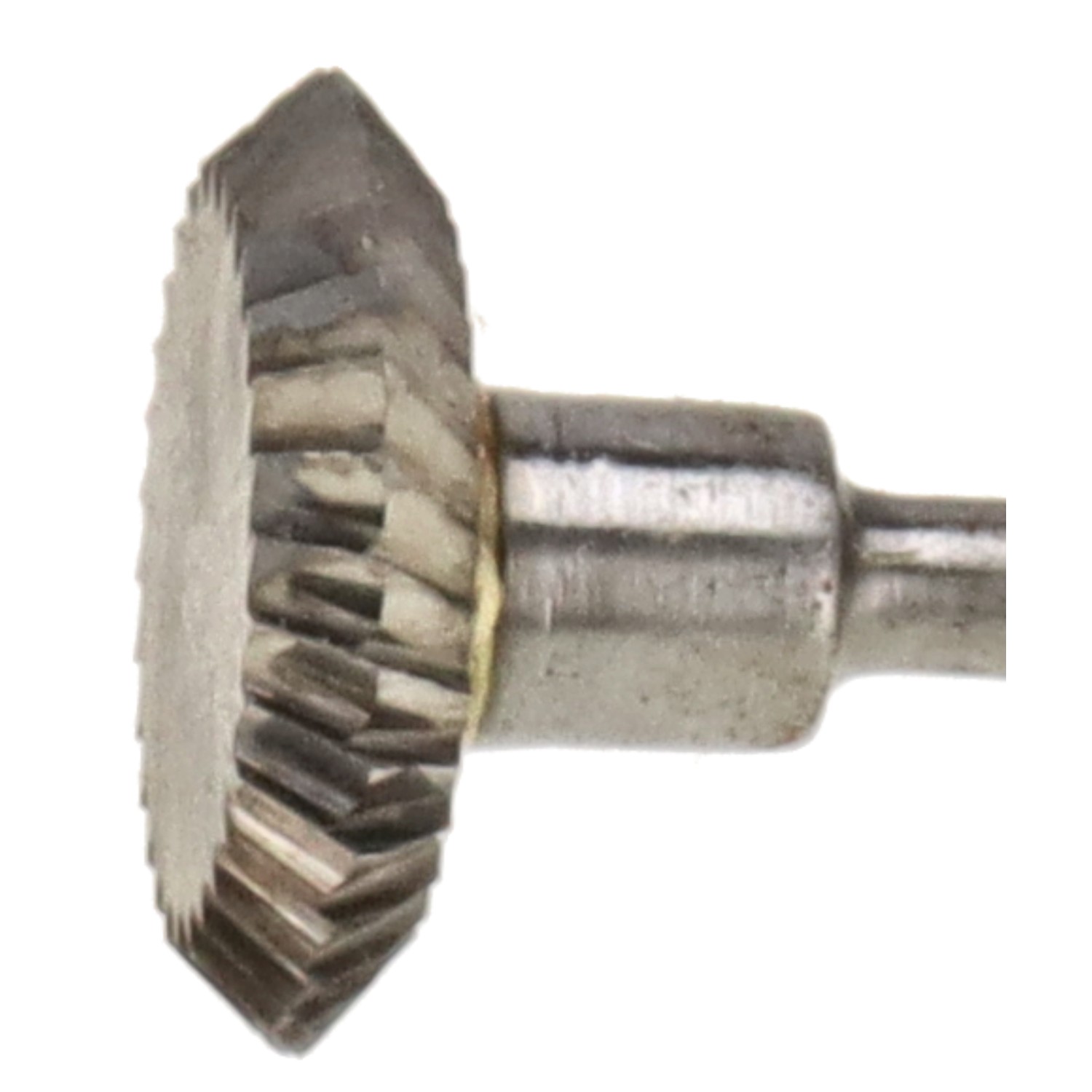 bonsai.fallbackImageTitle bonsai.fallbackImageTitle