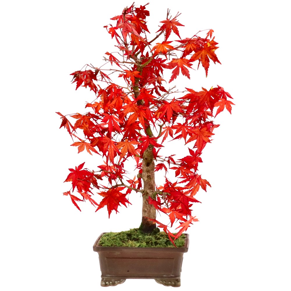 Slider Bild Slider Bild